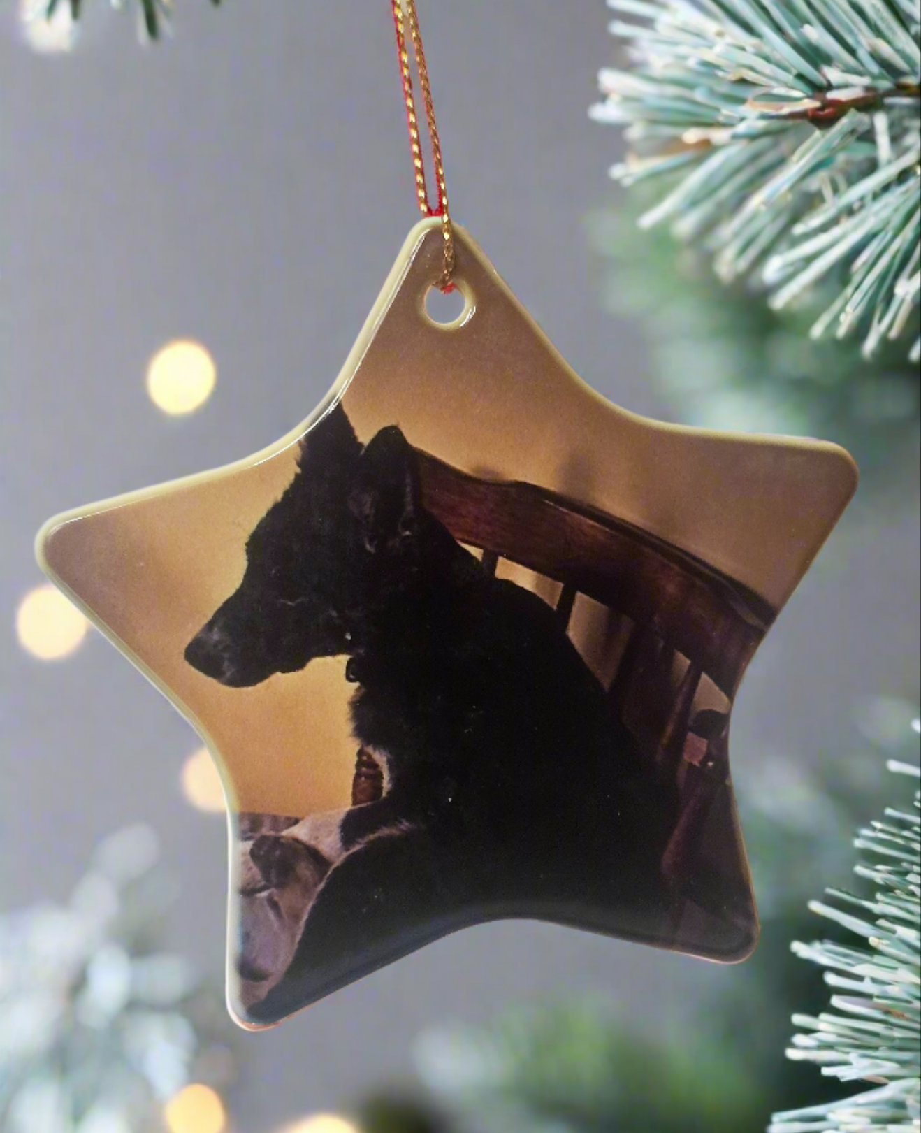 Personalised Christmas Decorations